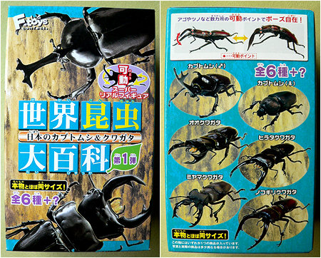 Let's have a stag party... a stag beetle party that is! HOORAY FOR BUG JOKES ROFLROFLROFL!