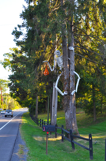 FACT: Skeletons love scaling pine trees!
