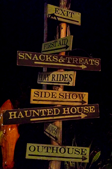 So many choices...