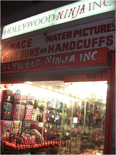 Hollywood Ninja Inc. The best storefront in the history of the world?