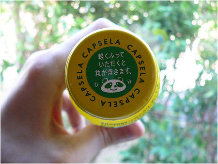 Even pandas love Orbitz - Capsela!