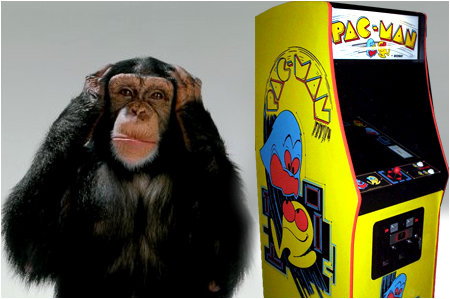 RAAAAR!!! MONKEY HATE BAD WORDS IN PACMAN SONG!!!! HEAR NO EVIL!!!!