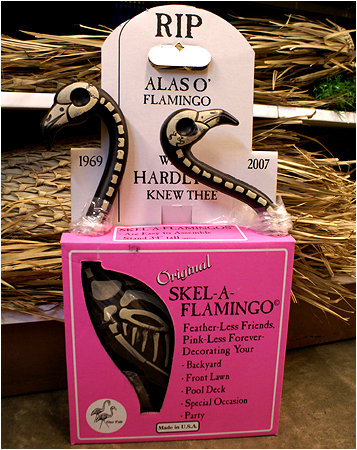 No pink on these flamingos! (no flesh either)