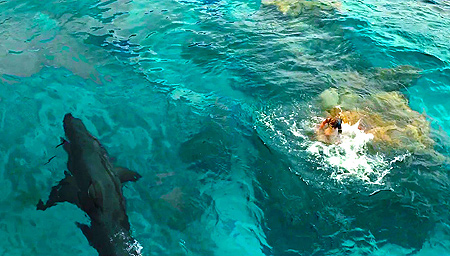 A shark circles Nancy in The Shallows