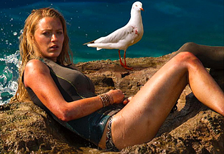 The REAL hero of The Shallows - Sully Steven Seagull