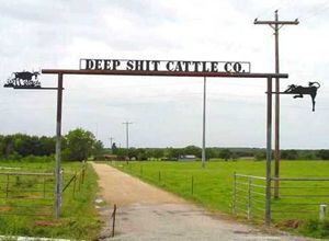 POOP CATTLE POOP!