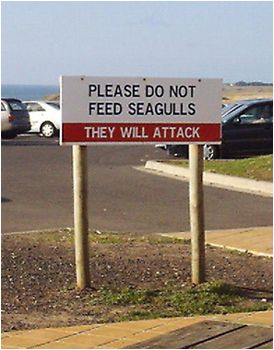 especially if you feed them alka-seltzer tablets