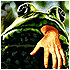 Horrifying Halloween Frogs