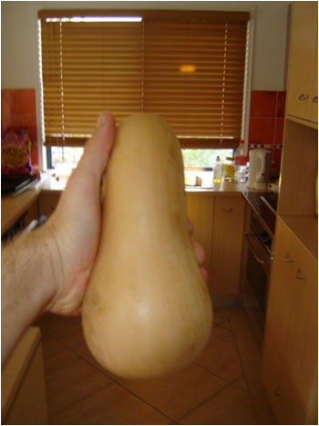 Oh gourd, show me your true form.