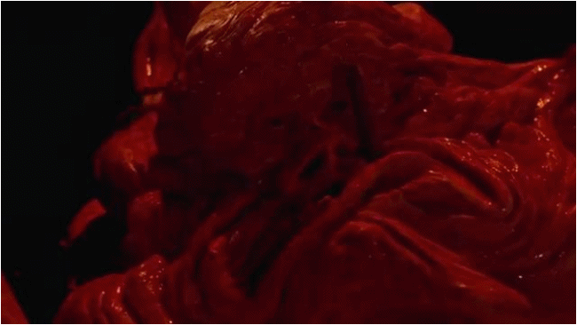 Society - The 1989 Horror Film!