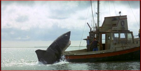 Damned lazy sharks... always trying to hitch a ride.