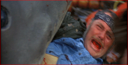 In case you didn't know, Shark beats Machete