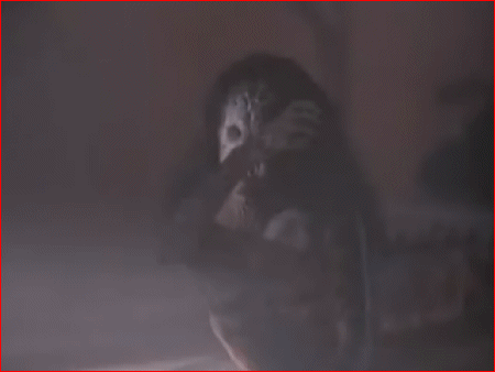 It's just not a horror movie without a bloody explosion.