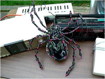 Clearly this spider is a music fan...