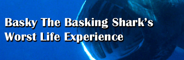 Basky The Basking Shark's Worst Life Experience