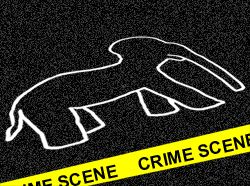 OFFICIAL CRIME SCENE PHOTO