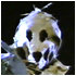 Dark Night Of The Scarecrow!