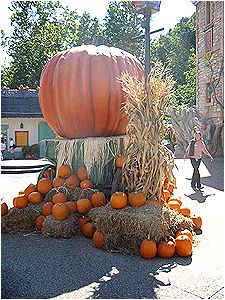 GIANT PUMPKIN! :O
