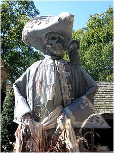 NOW THAT'S A *REAL* PIRATE!