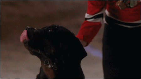 Need a hanky there, pooch?
