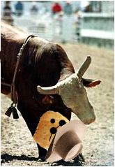 Rodeo Wally