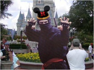 The Wonderful World of Walt NINJITSU!