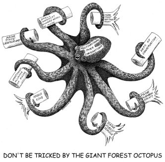 HE'S A TRICKY ONE, THAT OCTOPUS!