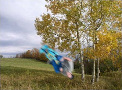 WHILE IT MAY LOOK LIKE FUN, FLYING ON ROBOTS IS *VERY* DANGEROUS!