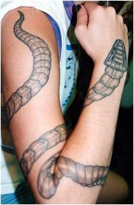 What a crappy lookin' snake...