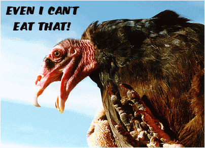 EVEN VULTURES HAVE STANDARDS!