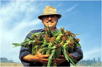 I GOTS ME SOME CORNS!