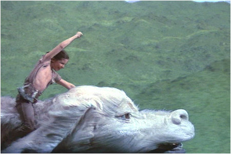 I'm freeeeeeee as a bird!