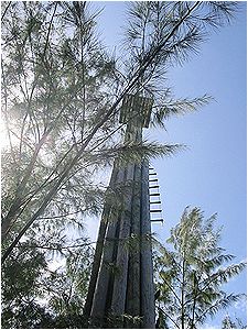 CLIMB ALL THE WAY UP THERE AND WIN A PRIZE. THE PRIZE OF DEATH.