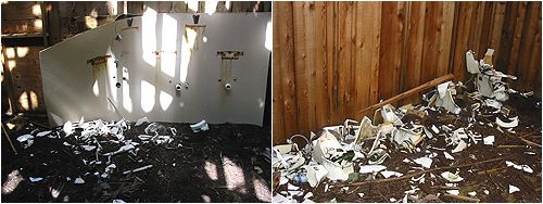The Toilet Holocaust :(