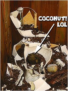 COCONUTS? OMGROFLBYOBLOL!