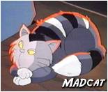 BOO MADCAT!