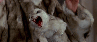 RAAAAAAAAAAAAAAAAAAAAAAAAR!