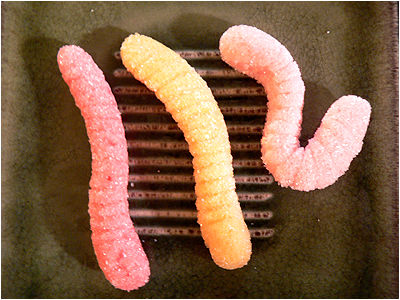 They look more like grubs don't they? Well, multi-colored grubs covered in sugar that is.