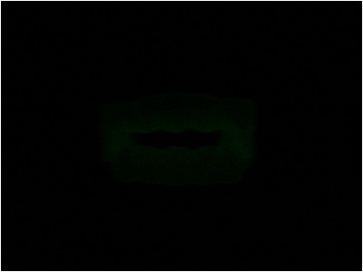 If you sit close to the monitor and squint your eyes you can see the SUCK