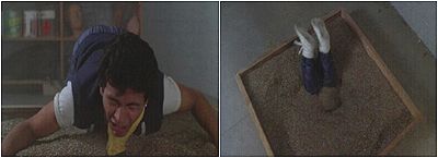 NOOO! NOT THE KITTY LITTER!