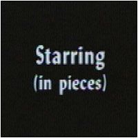 Big pieces? Or little pieces? Come on! I want DETAILS people!