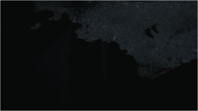 Intruder (1989)