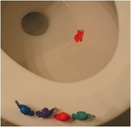 HELLLP! I FELL IN!