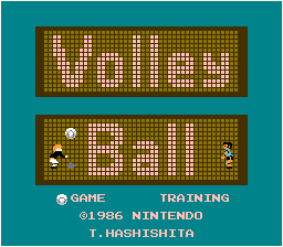 VOLLEYBALL!