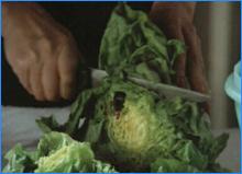 GO VEGETARIAN? Uhh, no thanks pal.