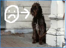 I'm the sad orphan dog. :(