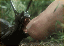 MUST...EAT...FINGER!