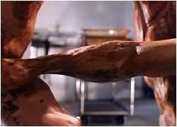 Ooh, right in the chunky kneecap.