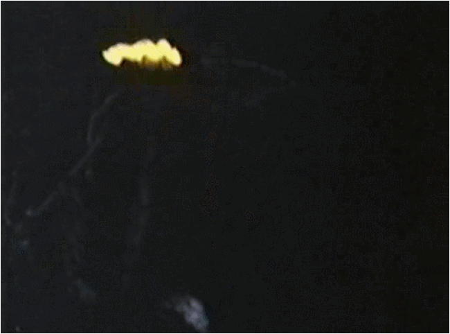 Without Warning (1980)