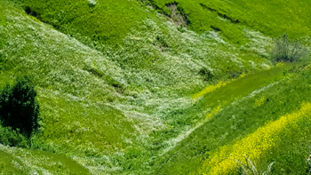 Almost looks like a painting.